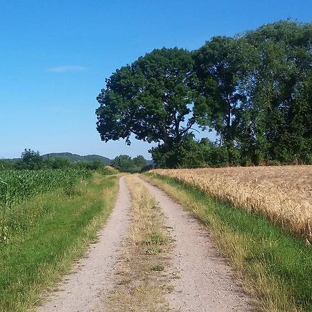 Landgasthof Zur Untermuehle Datterode Luaran gambar
