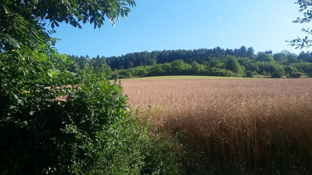 Landgasthof Zur Untermuehle Datterode Luaran gambar
