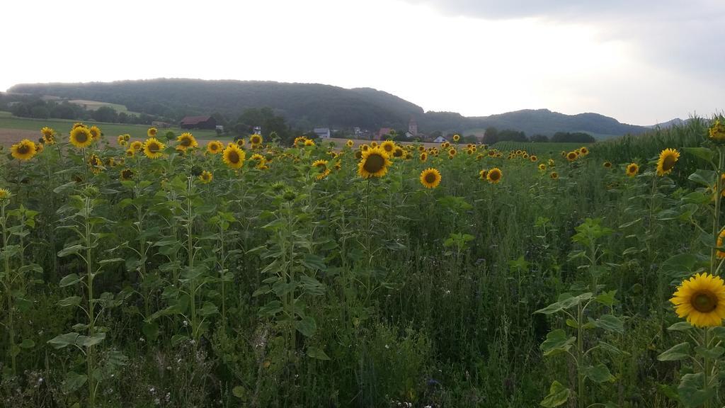 Landgasthof Zur Untermuehle Datterode Luaran gambar