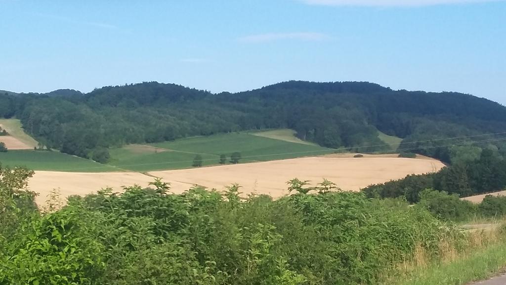 Landgasthof Zur Untermuehle Datterode Luaran gambar